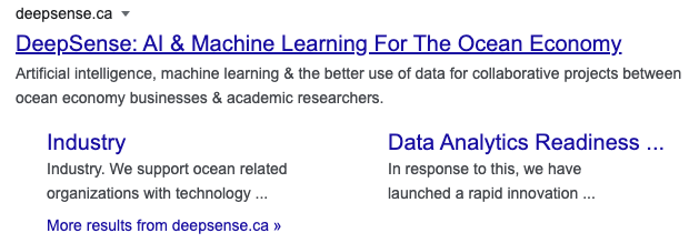 deep sense SERP result 2